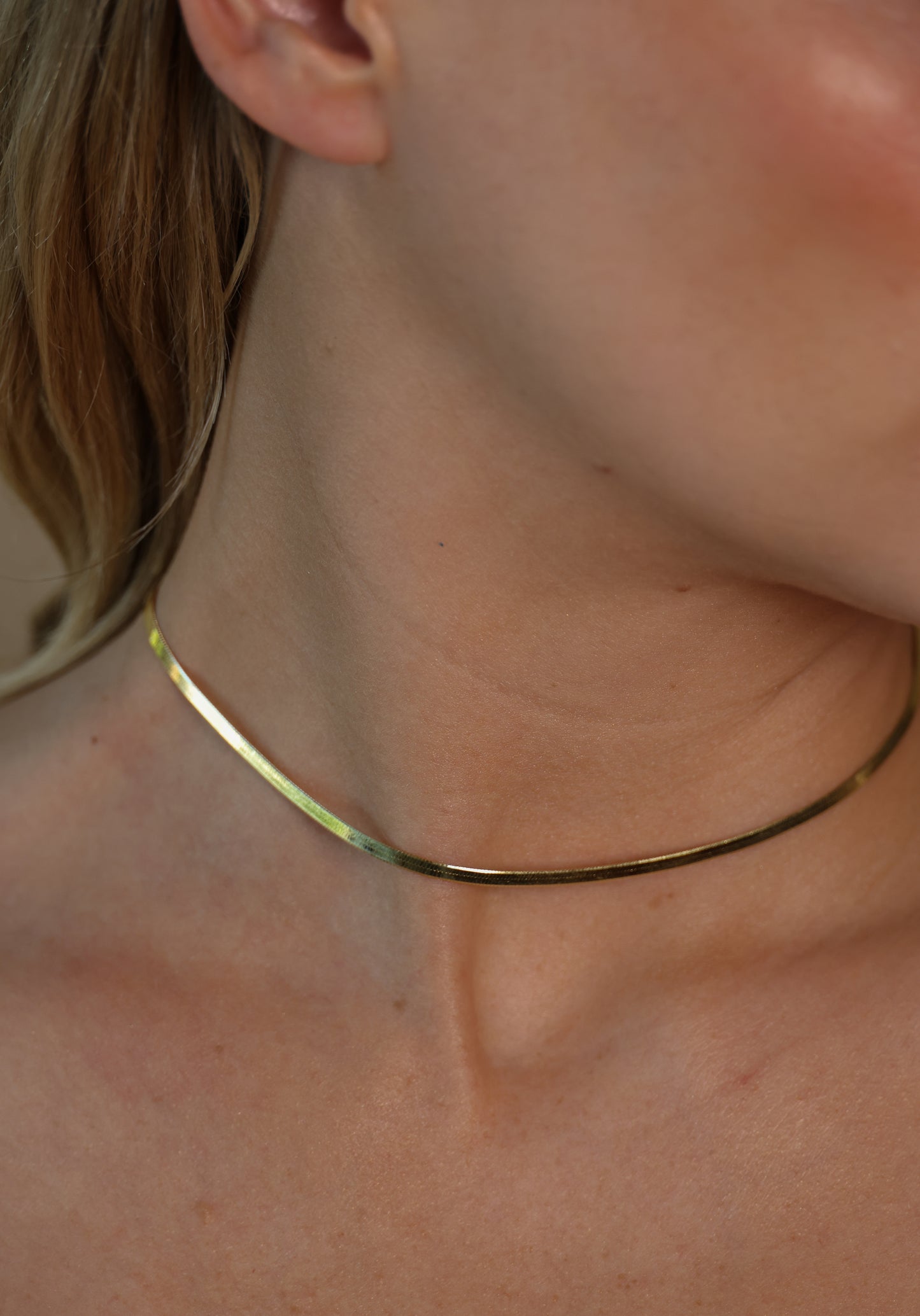 Herringbone Necklace